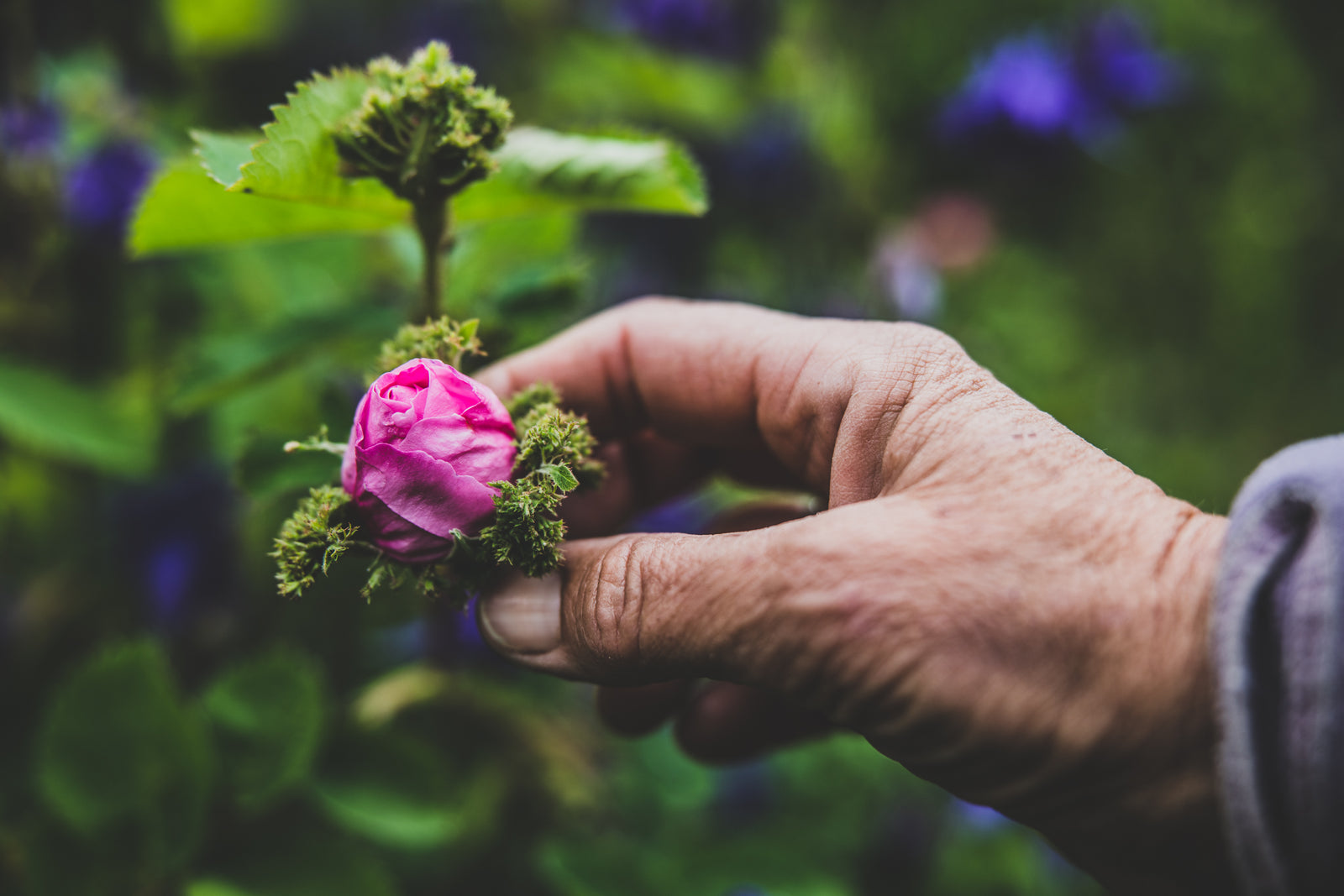 naturreinen Duftmischungen