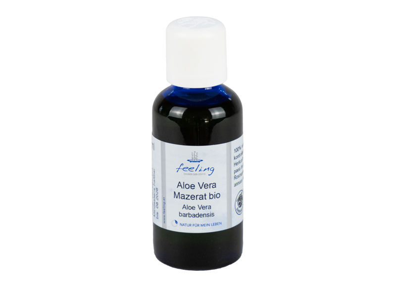 Aloe Vera Mazerat bio