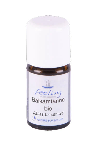 Balsamtanne bio