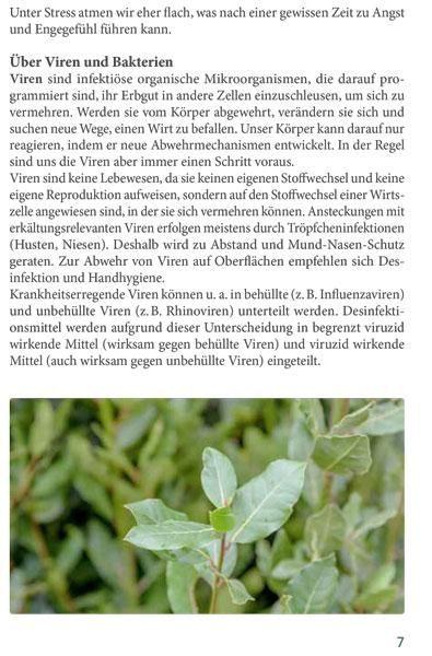 Ätherische Öle für die Erkältungszeit