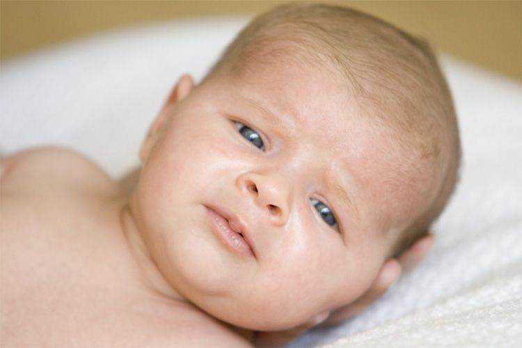 Babyfolder Schwangerschaft, Geburt, Babypflege