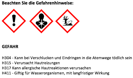Ingwer CO2 Extrakt Zingiber officinale