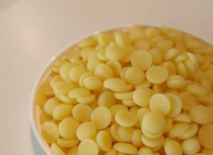 Kakaobutter öko Landbau Theobroma cacao