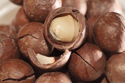 Macadamia-Nussöl fein nativ bio