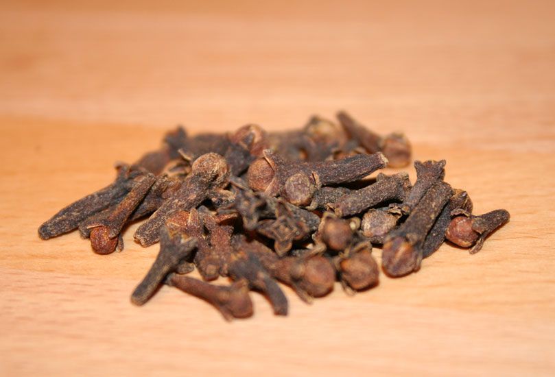 Nelkenknospenöl Syzygium aromaticum