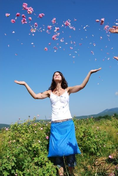 Rosenöl bulgarisch Rosa x damascena