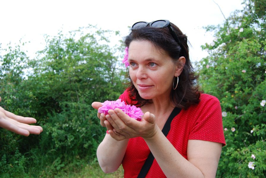 Rosenöl bulgarisch bio 10:90 in Jojoba Rosa x damascena